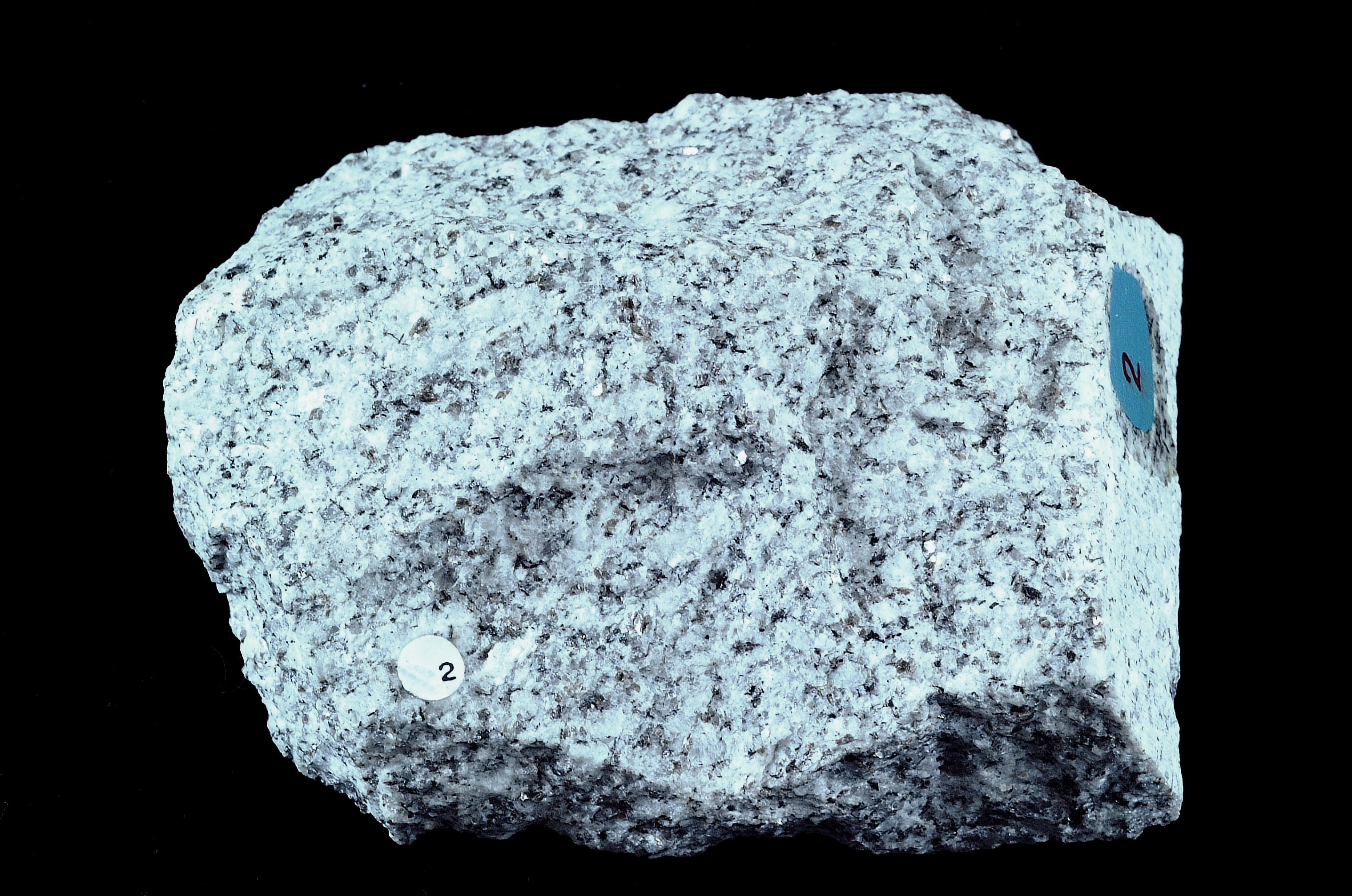 biotite rock